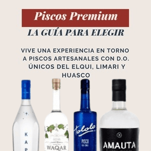 Guía de Piscos con D.O.